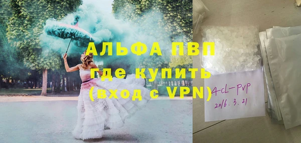 хмурый Абаза
