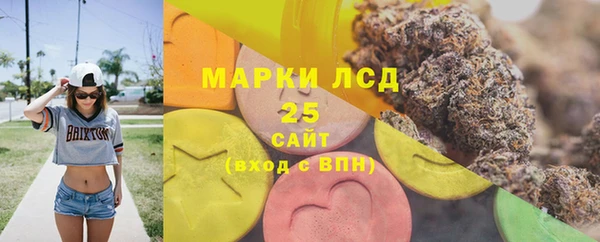 хмурый Абаза
